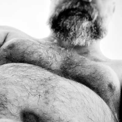 wolfparty