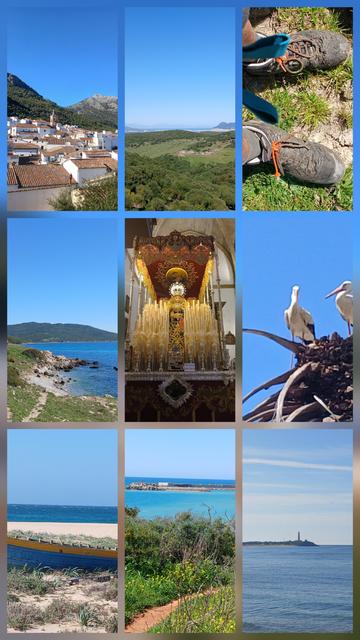 Collage de différents souvenirs de.la randonnée : un chemin côtier, Trafalgar, des cigognes, un village blanc andalous, une madone prête pour sa prochaine procession (sur son char doré et entourée de certaines de bougies), des pieds très boueux, les collines vertes du printemps