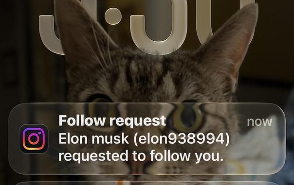 iPhone notification text overlay that reads, "Follow request" and "now." The background is blurred, and there is a logo with the text "Instagram" and the word "Elon Musk" in the upper left corner.