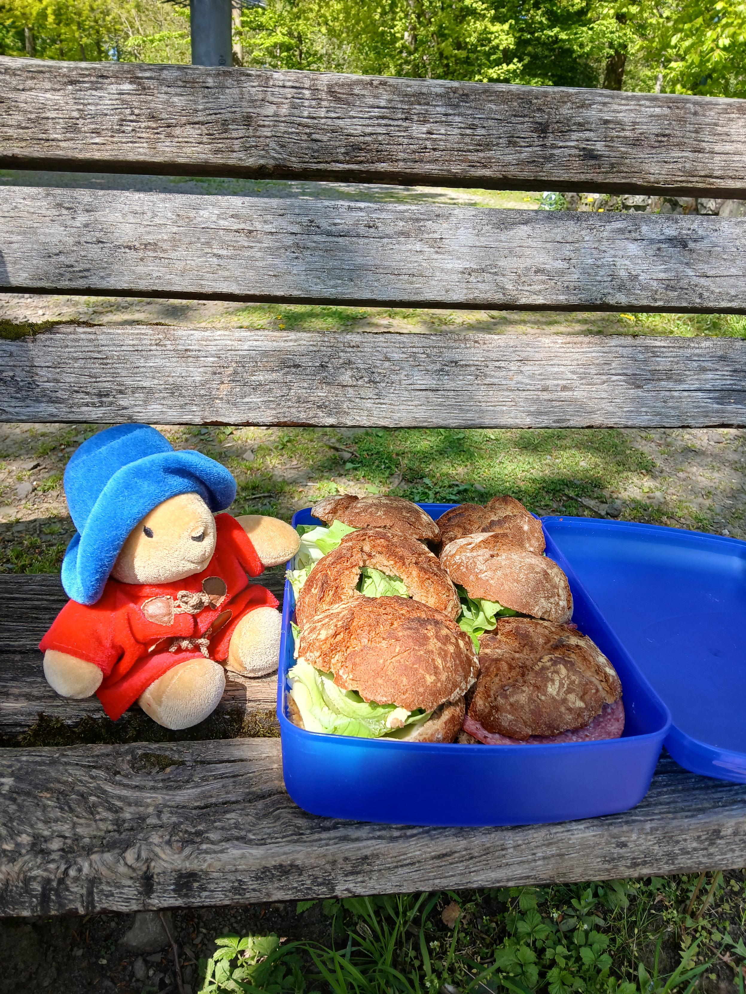 Paddington et la boîte à tartine remplie sur un banc.

Paddington and the full lunchbox on a bench.