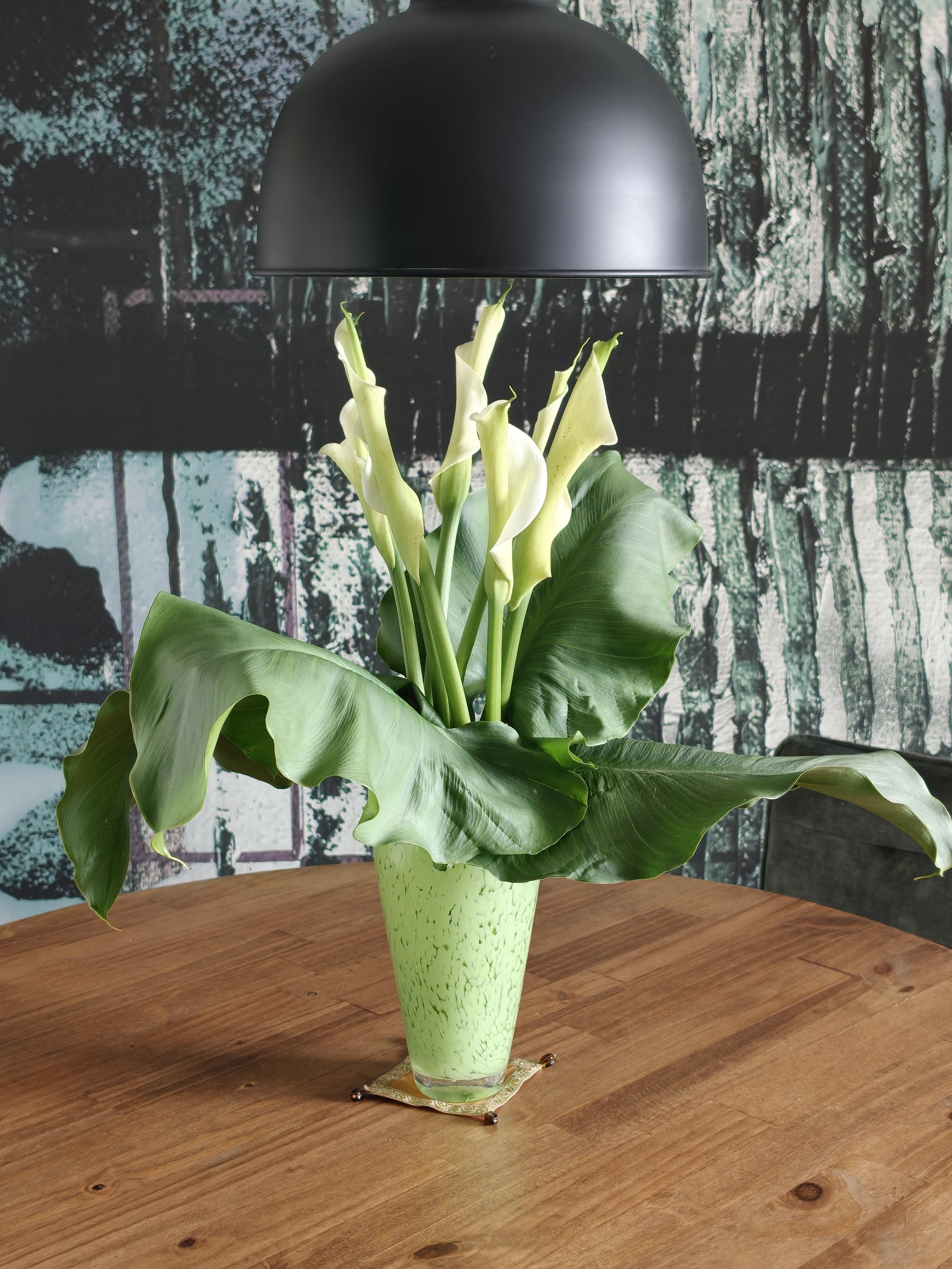 Bouquet d'arums en vase