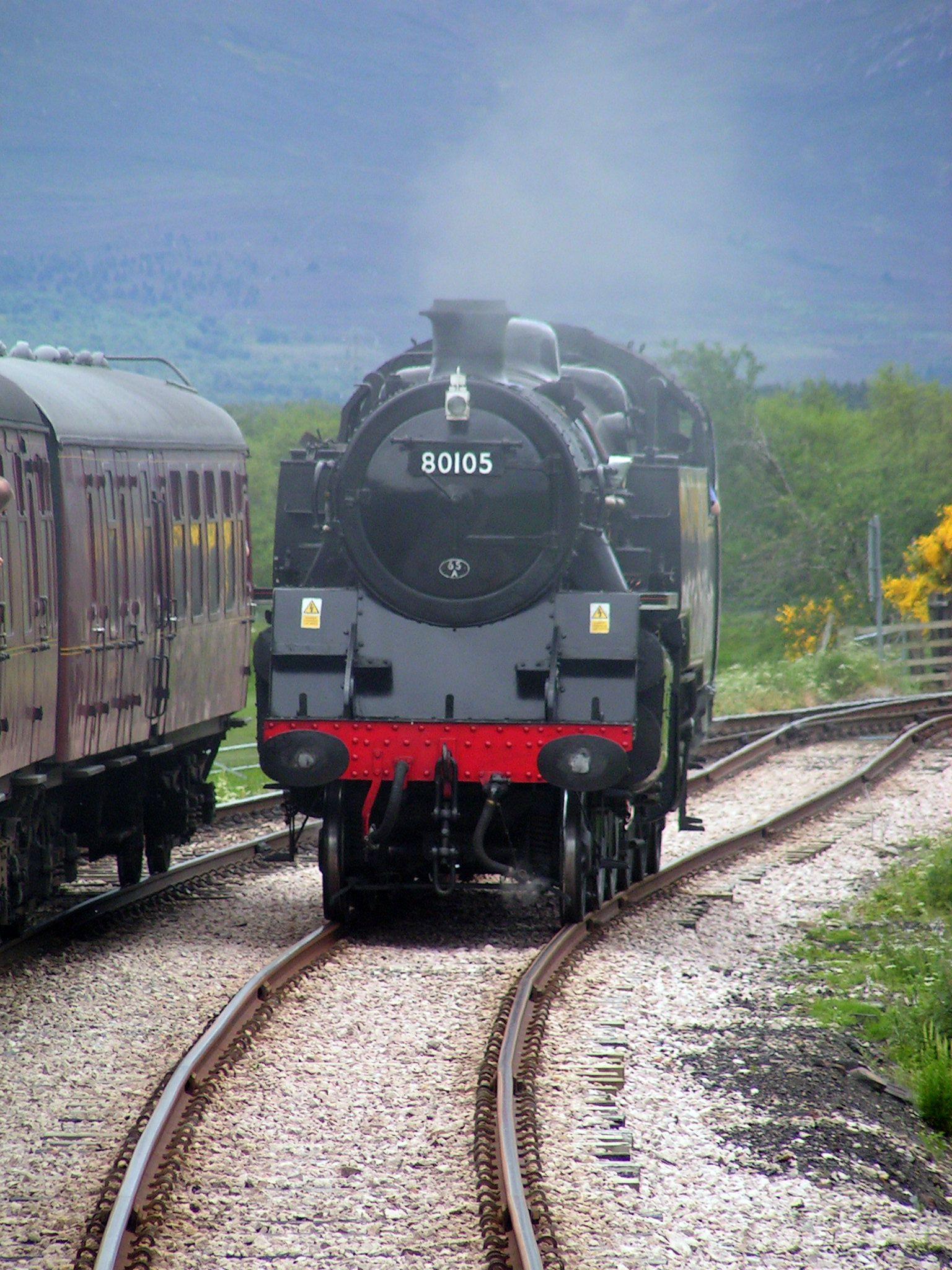 Une locomotive à vapeur dans les brumes de ses fumées qui s'échappent de sa cheminée, circule à côté du train pour venir se mettre en tête. 

A steam locomotive in the mists of its smoke escaping from its chimney, circulates next to the train to come to the front.