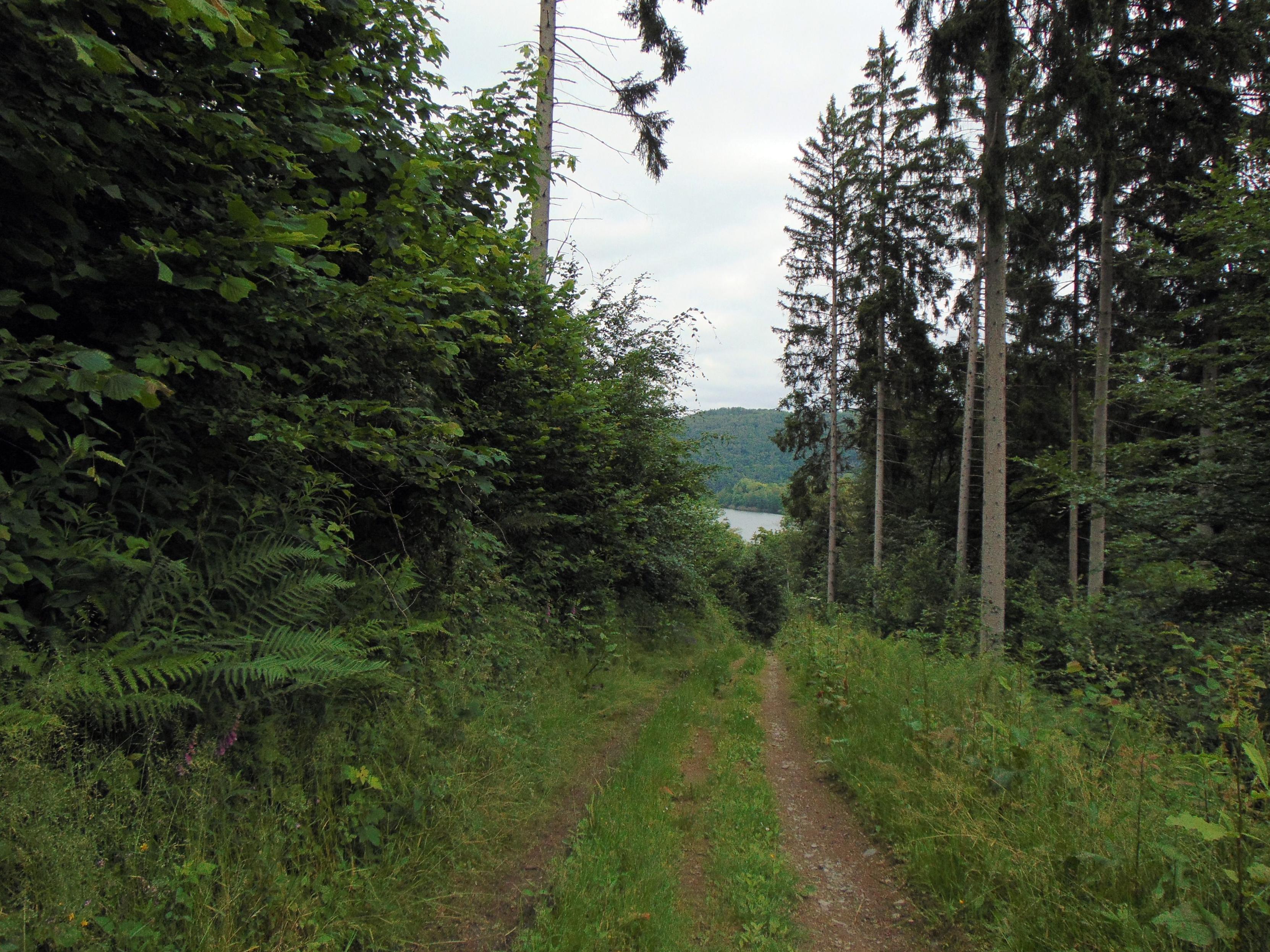 Après être descendu par un autre chemin, il nous faut remonter. Vue sur le chemin et dans le fond sur le lac.