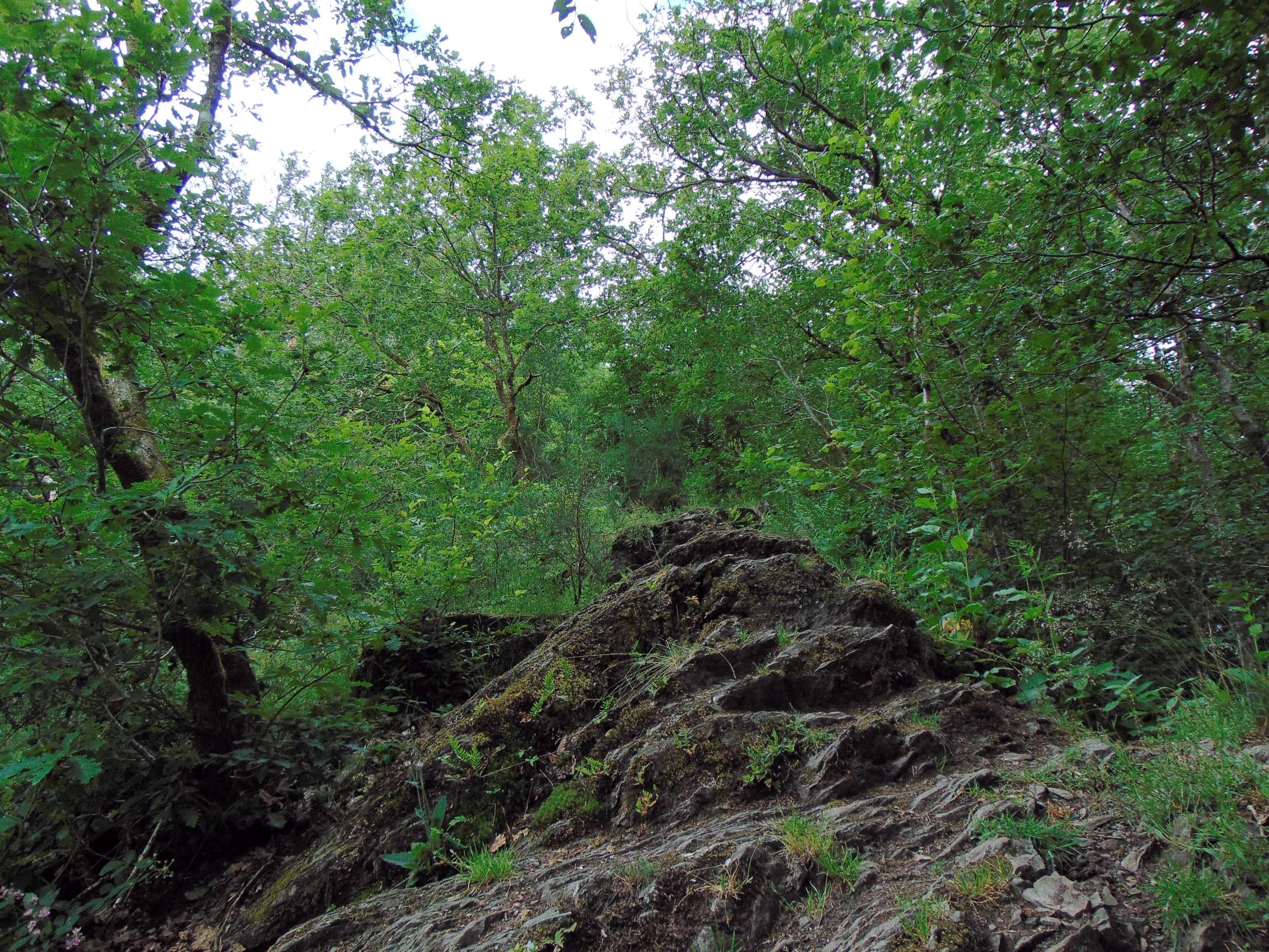 Le chemin est à peine visible dans cette masse rocheuse