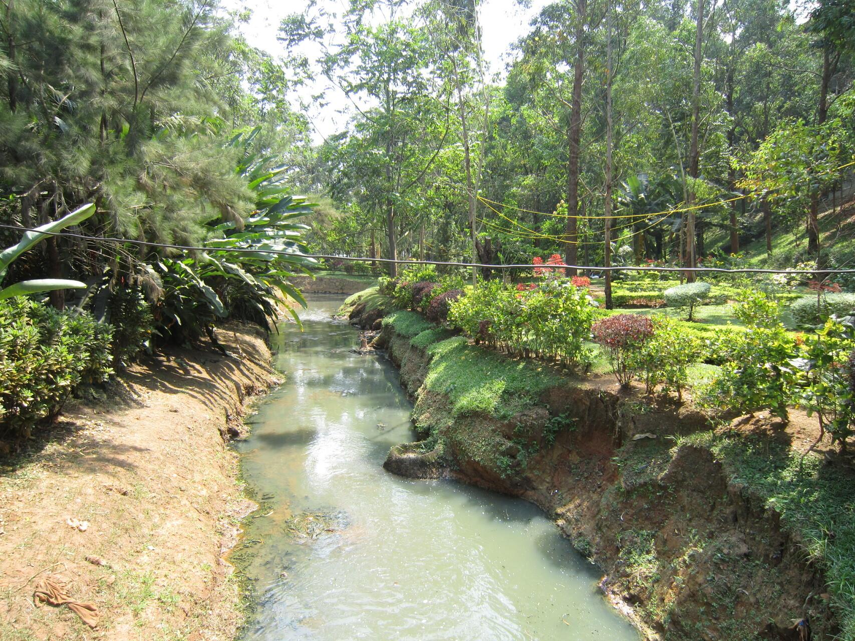 Marigot à Yaoundé au Cameroun, bordé d'arbres.