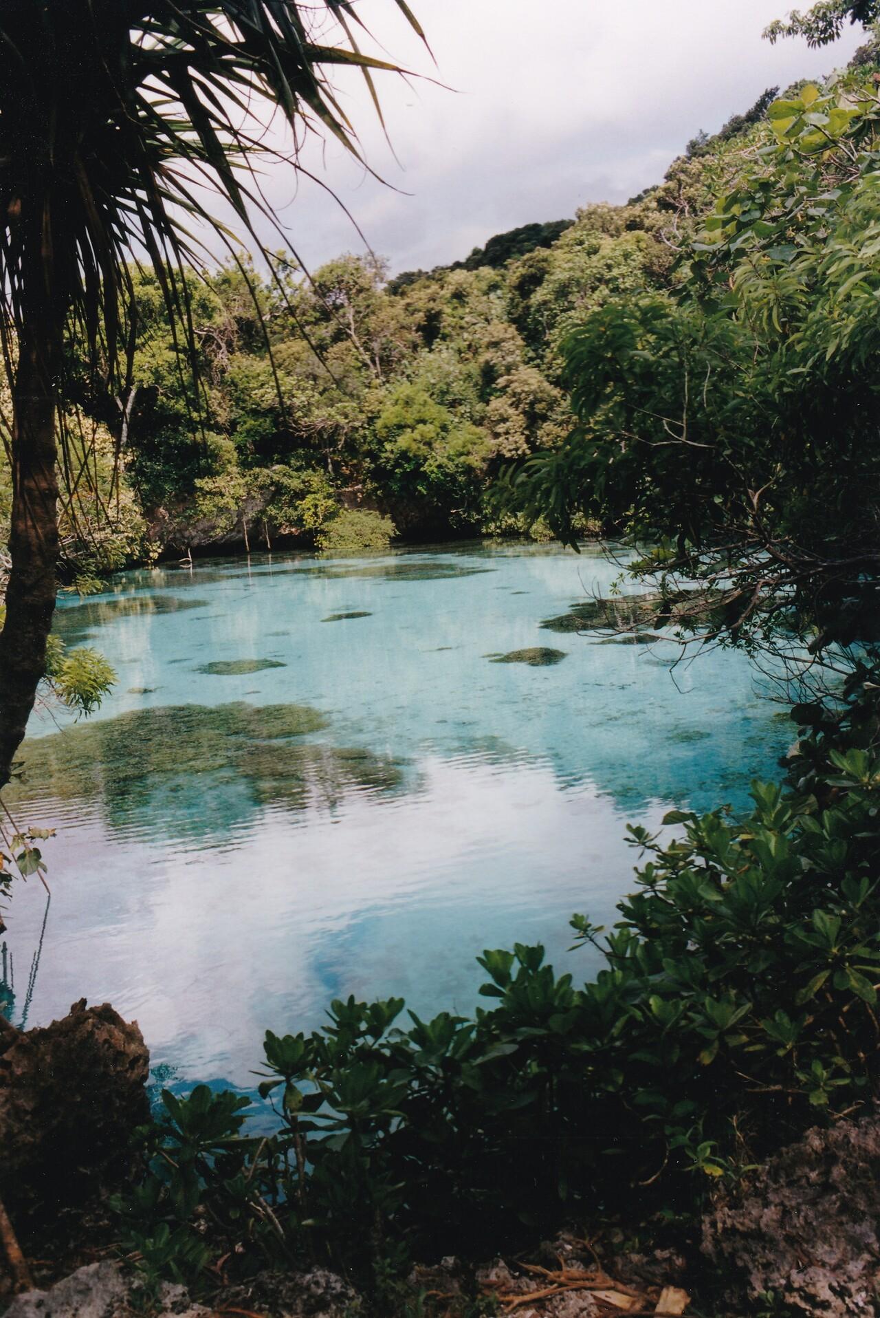 Plan d’eau bleu turquoise bordé d'arbres, dit « la piscine », sur l'île des Pins en Nouvelle-Calédonie.