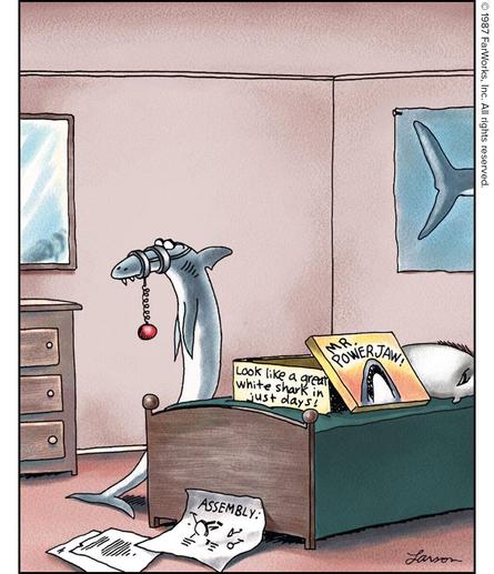 Posted media