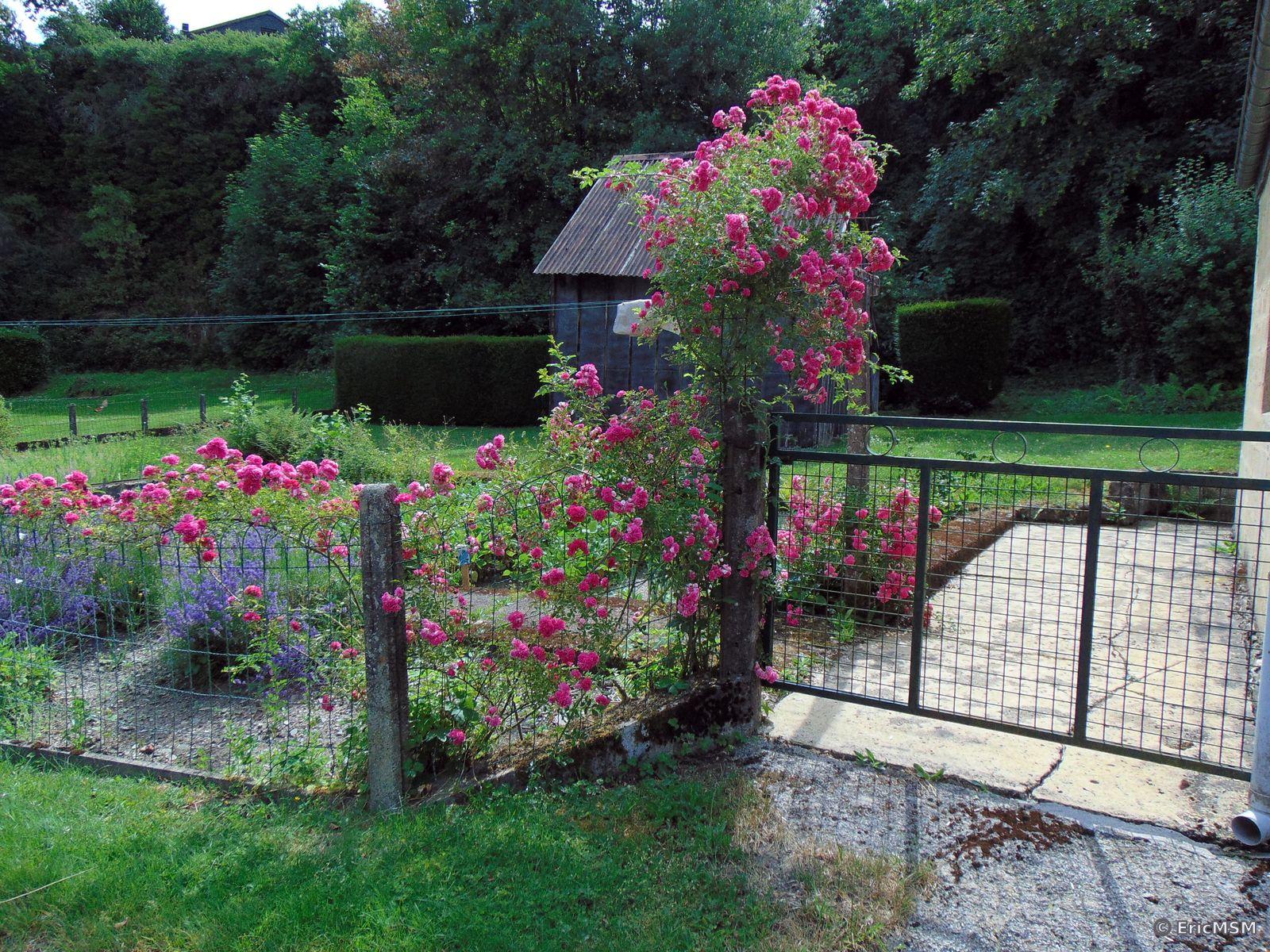 Un jardin joliment fleuri le long du chemin