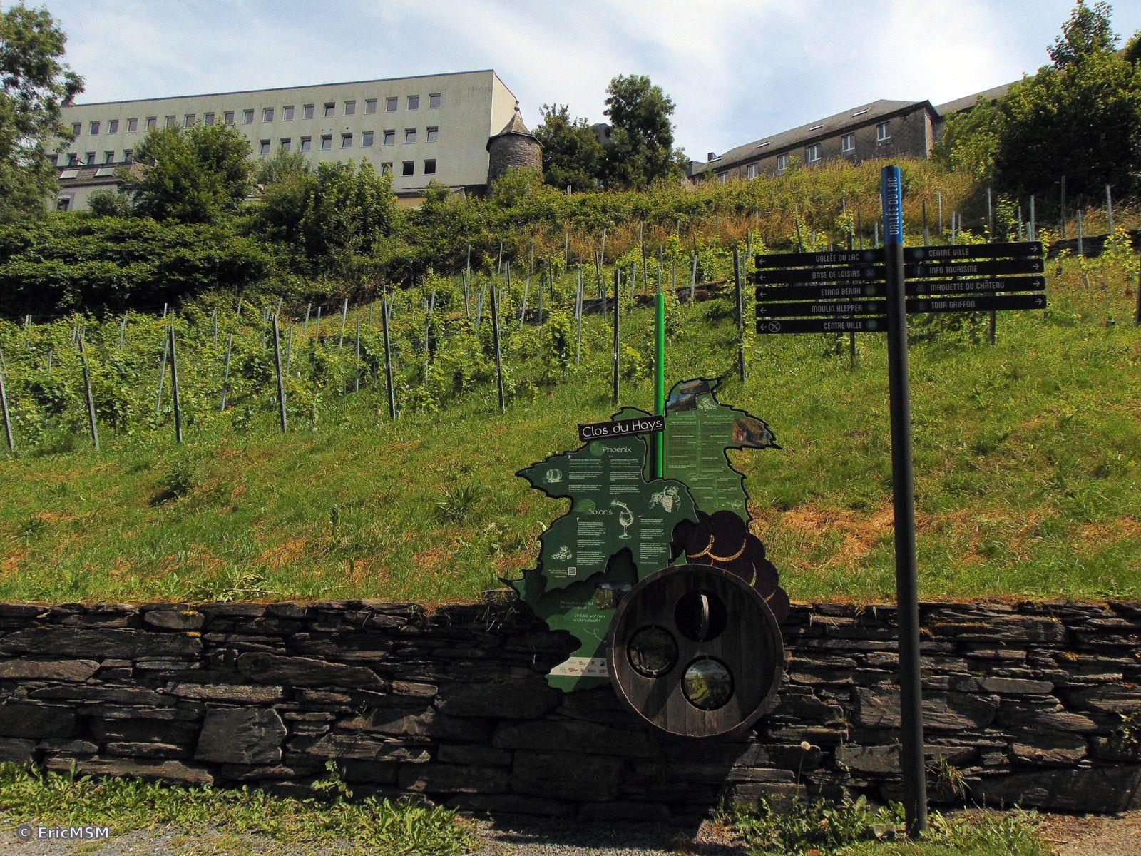 Le vignoble et sur les hauteurs l'institut Saint-Michel et la tour des Joncs