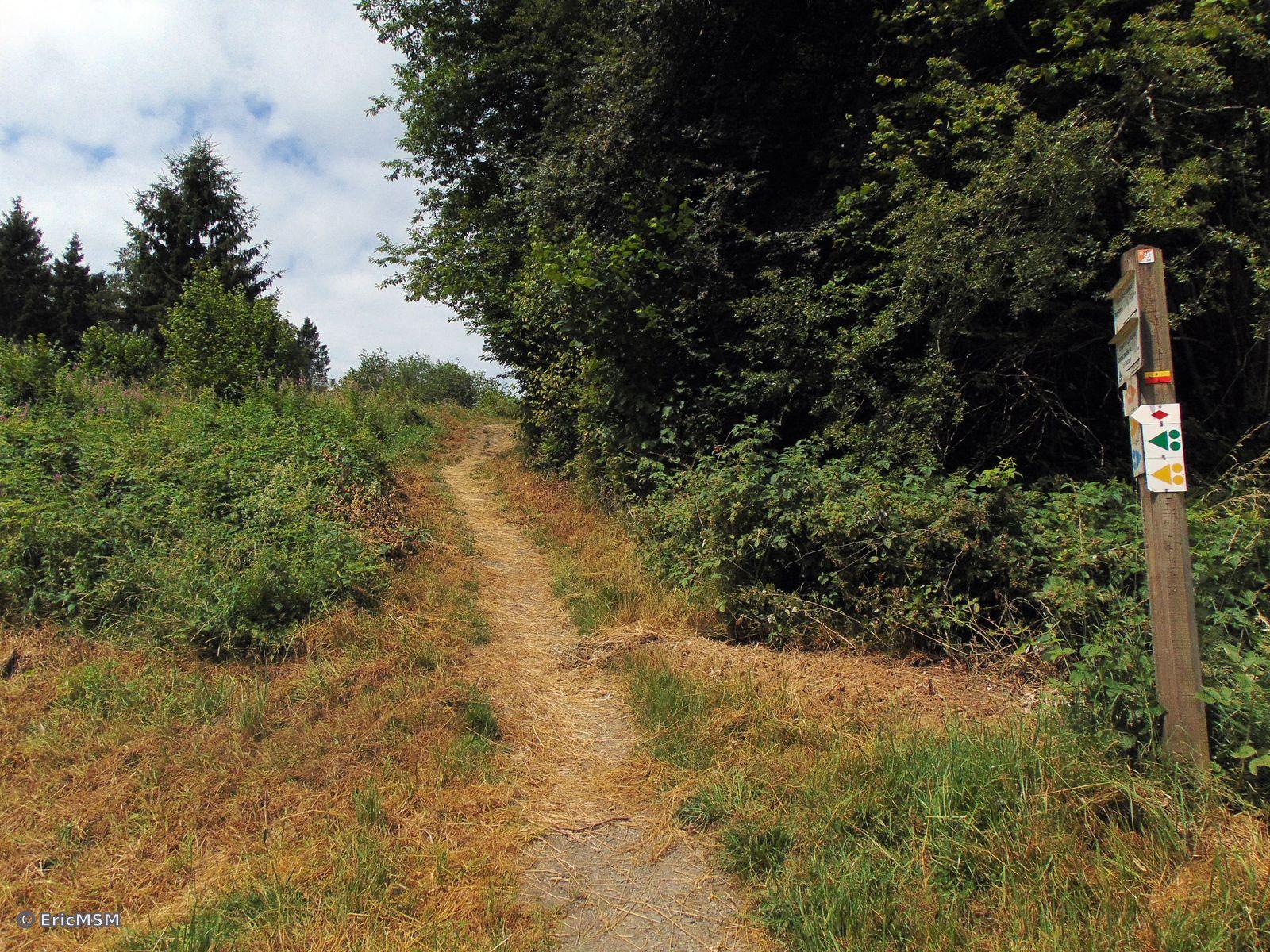 Un chemin étroit offrant une alternative à la petite route