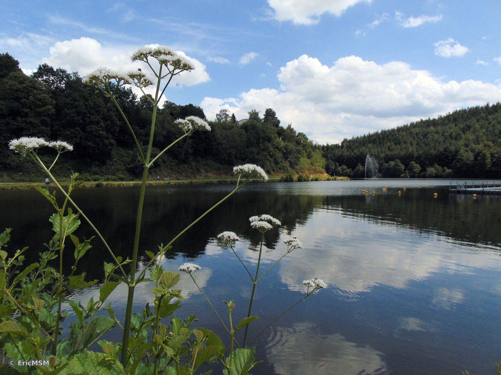 Le lac de Neufchâteau