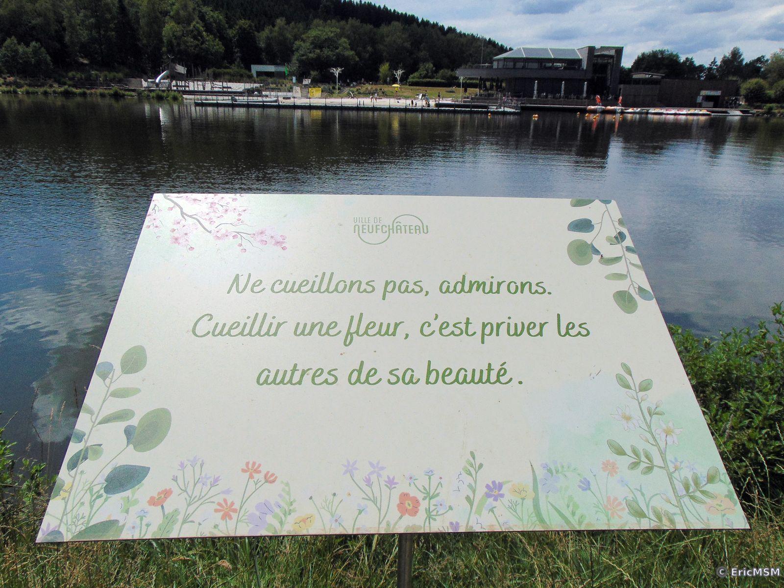 La base nautique et la plage du lac et une invitation à ne pas cueillir les fleurs sauvages