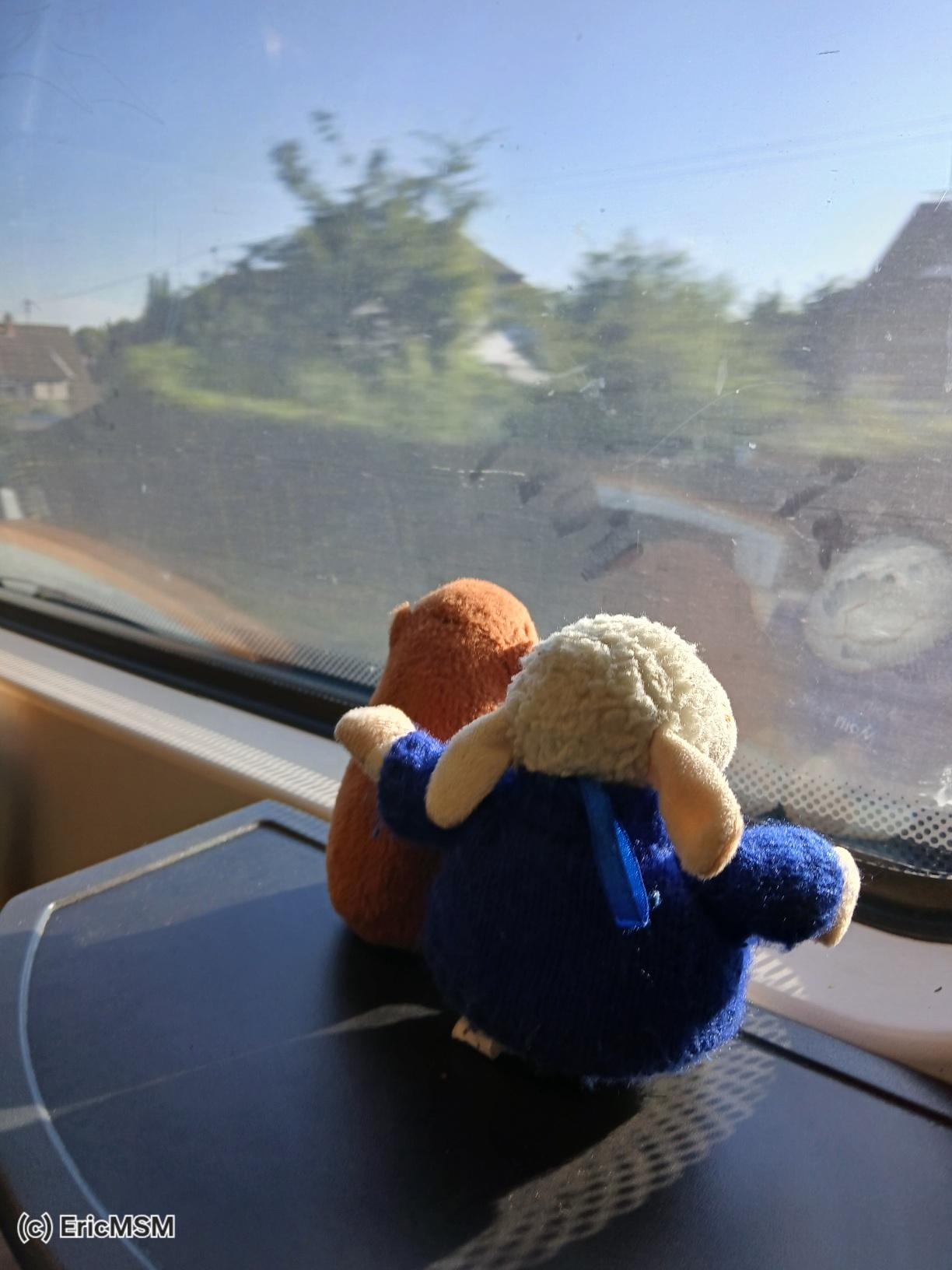 Deux peluches regardent le paysage défiler depuis le train. 

Two stuffed animals look through the window of the train.