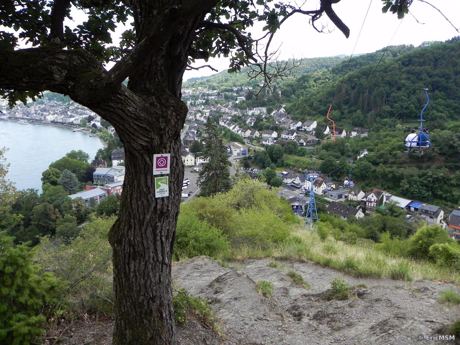 Vue sur Boppard avec un arbre portant les marquages en premier plan