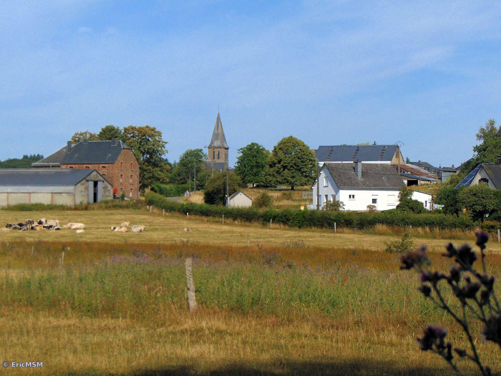 Le village vu depuis un chemin le long d'une pâture où des vaches se prélassent à gauche, on distingue des fermes assez imposantes et le clocher de l'église dans le fond. 

The village seen from a path along a pasture where cows lounge on the left, we can see quite imposing farms and the church tower in the background.