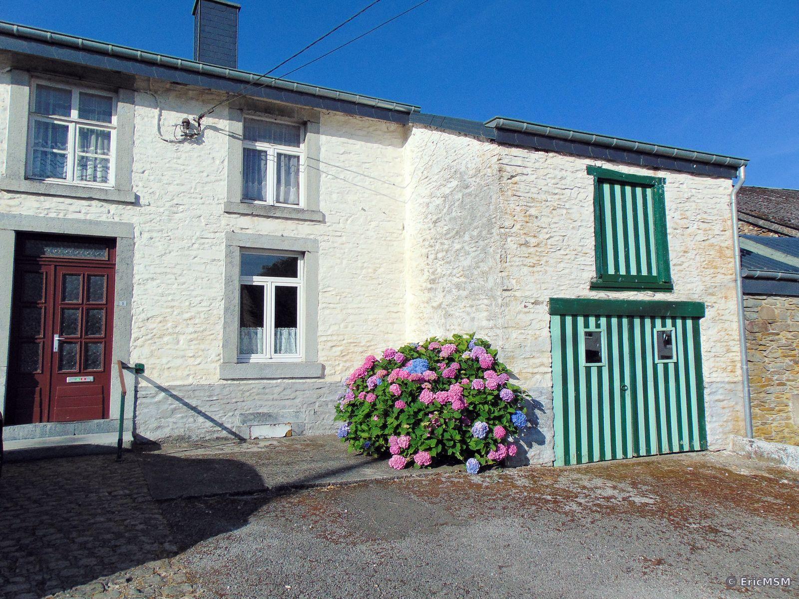 La plus ancienne maison du village avec ses petites fenêtres, un beau massif d'hortensias et sa porte de grange peinte en vert et blanc avec des rayures verticales, une ouverture au-dessus de cette porte est également peinte en rayures verticales de la même couleur.

The oldest house in the village with its small windows, a beautiful hydrangea bed and its barn door painted green and white with vertical stripes, an opening above this door is also painted in vertical stripes of the same color.