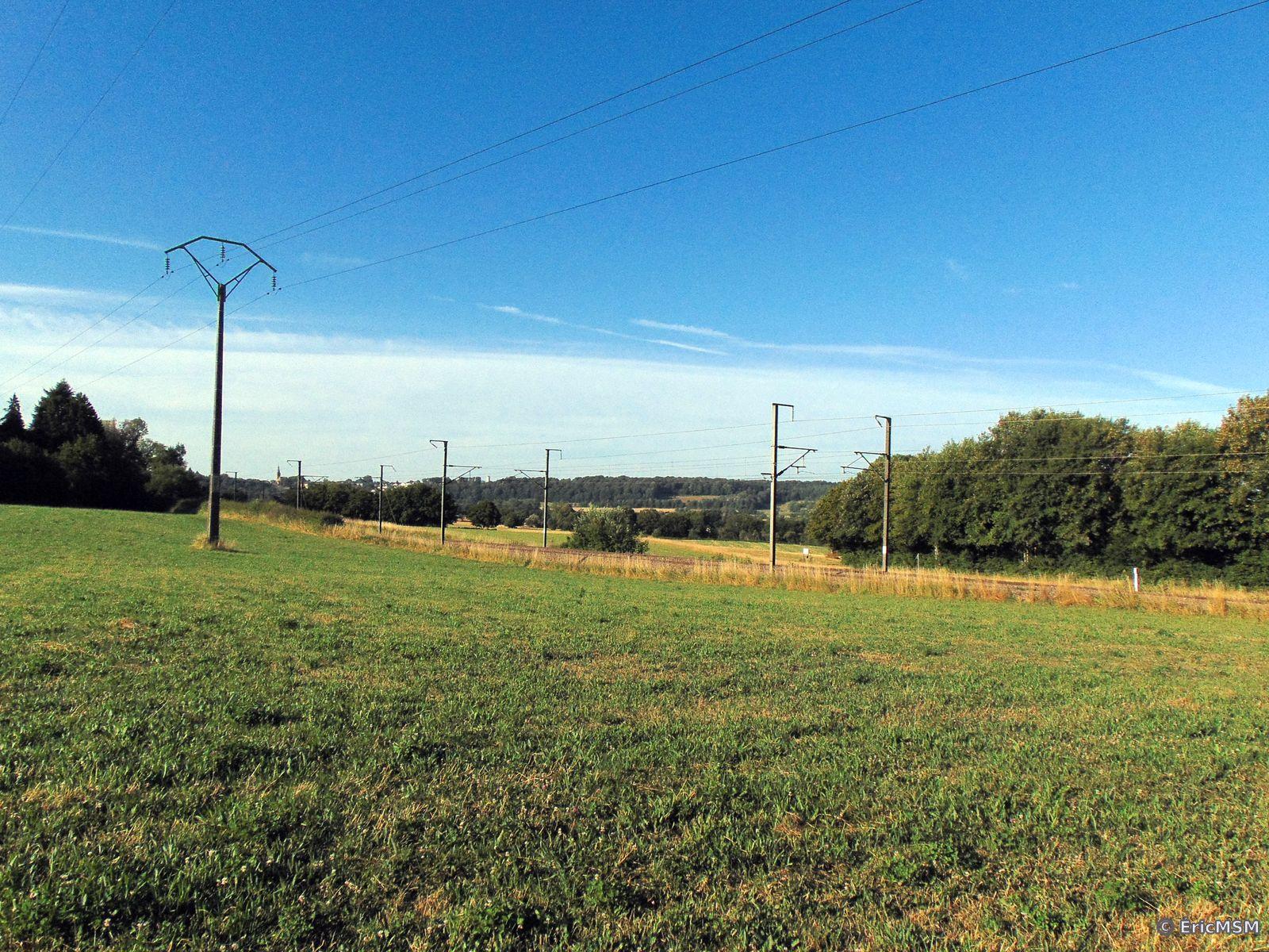 Photo d'un paysage dont on aperçoit les caténaires de la ligne ferroviaire. A l'avant-plan, une prairie et un poteau d'alimentation électrique typique des campagnes. Dans le fond, on distingue Florenville et son église à gauche et les massifs boisés.

Photo of a landscape of which we can see the catenaries of the railway line. In the foreground, a meadow and a power supply pole typical of the countryside. In the background, we can see Florenville and its church on the left and the wooded areas.