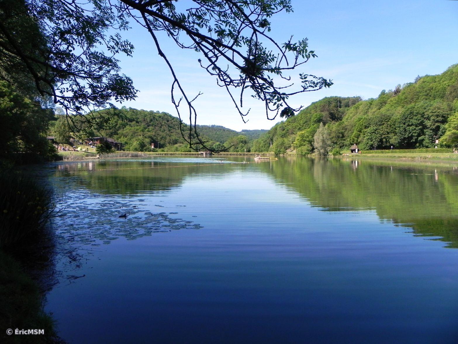 Un lac entouré de forêts.

A lake surrounded by woods.
