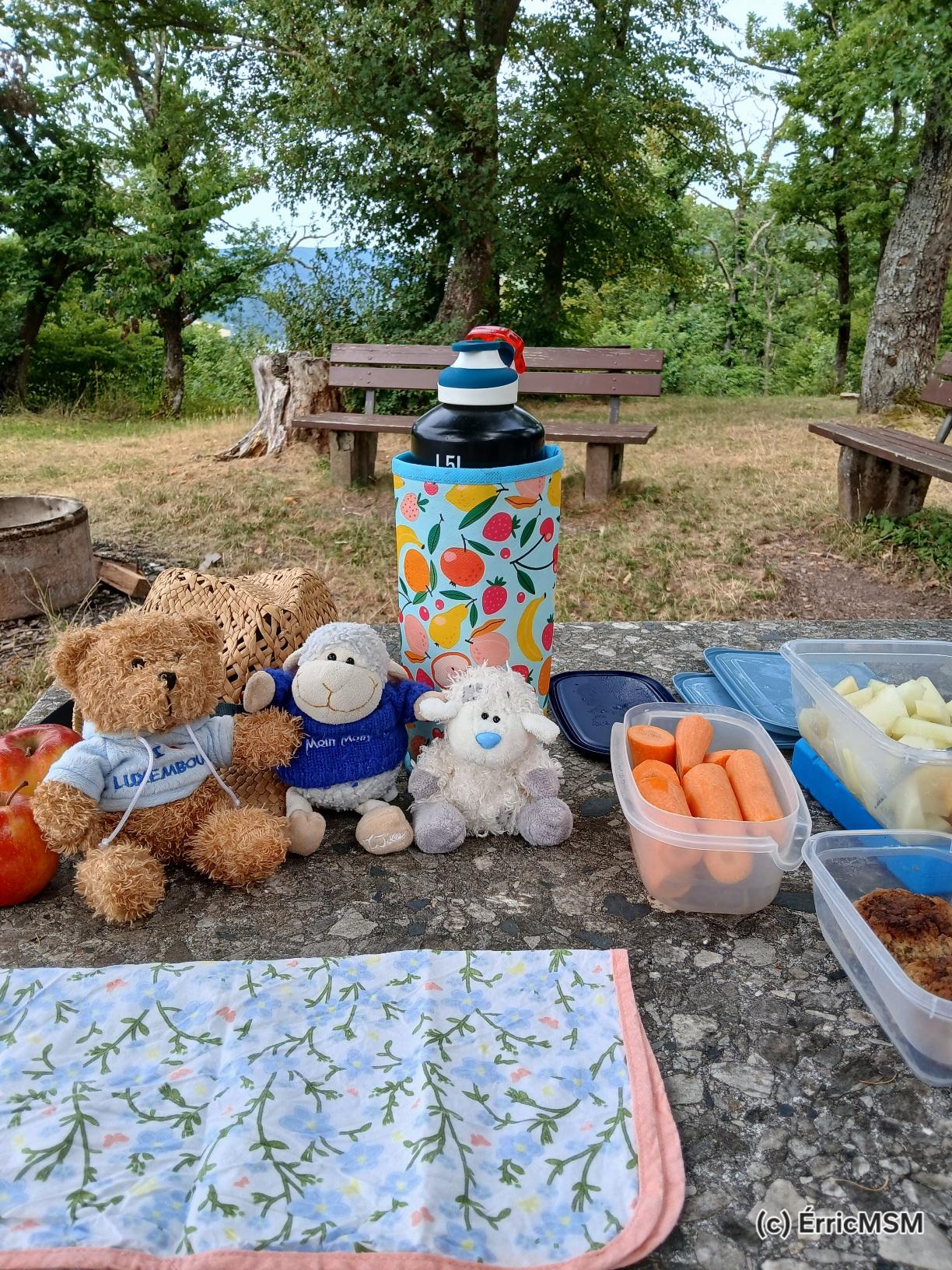 Une table de pic-nic avec trous pemuches et leur lunch.

A pic-nic table with 3 stuffed animals and their lunch.