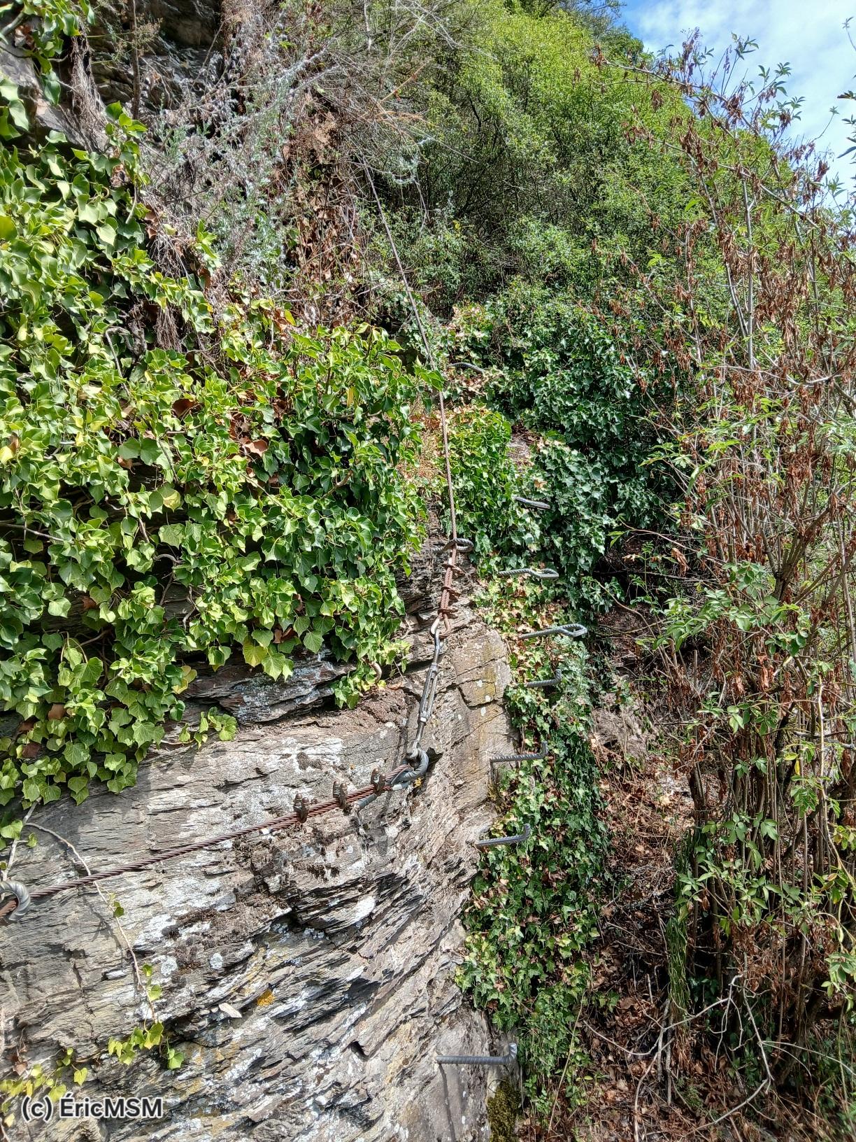 Le chemin d’escalade avec filin et marches en acier.