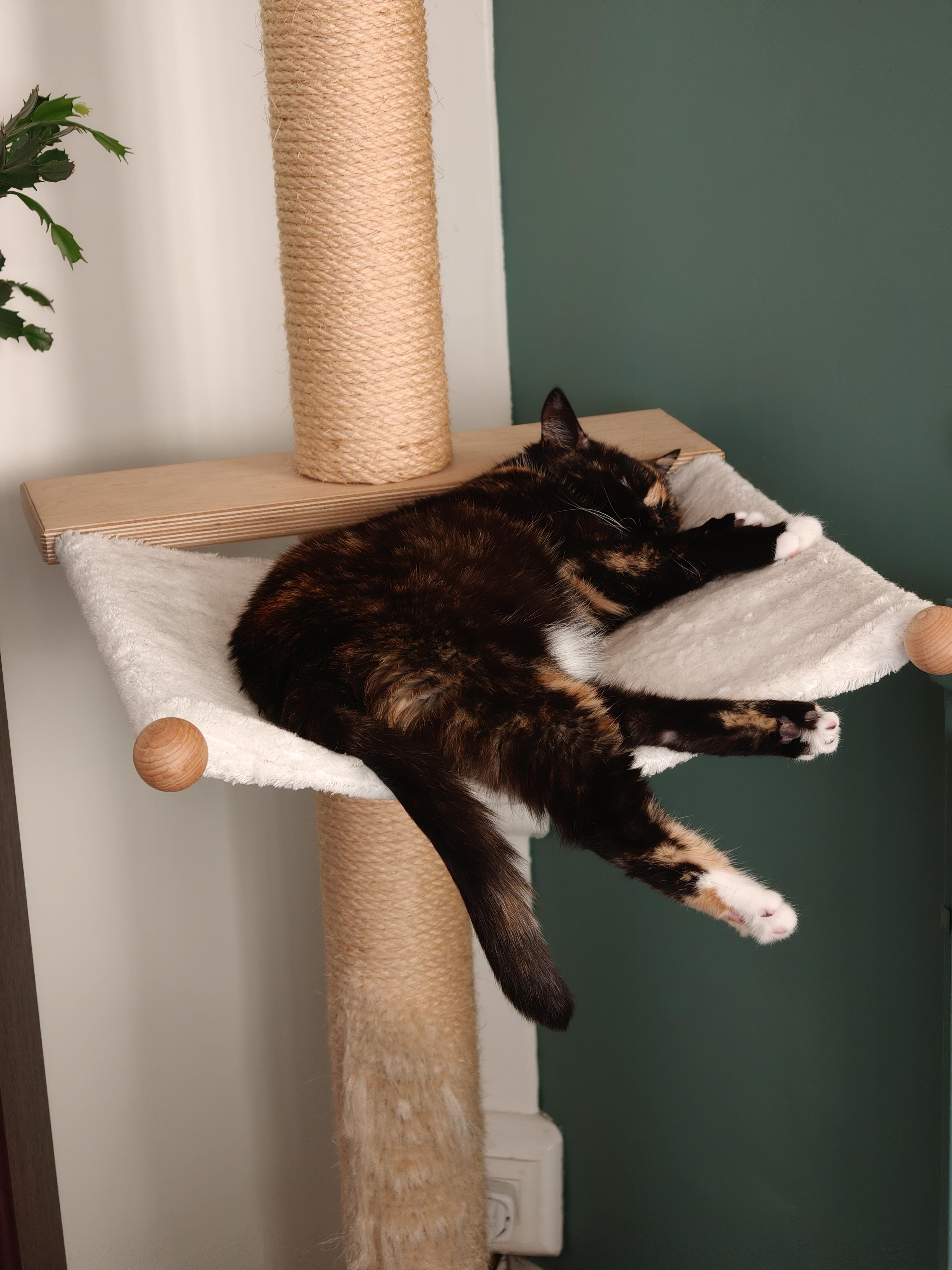 Isis affalée sur son arbre à chat