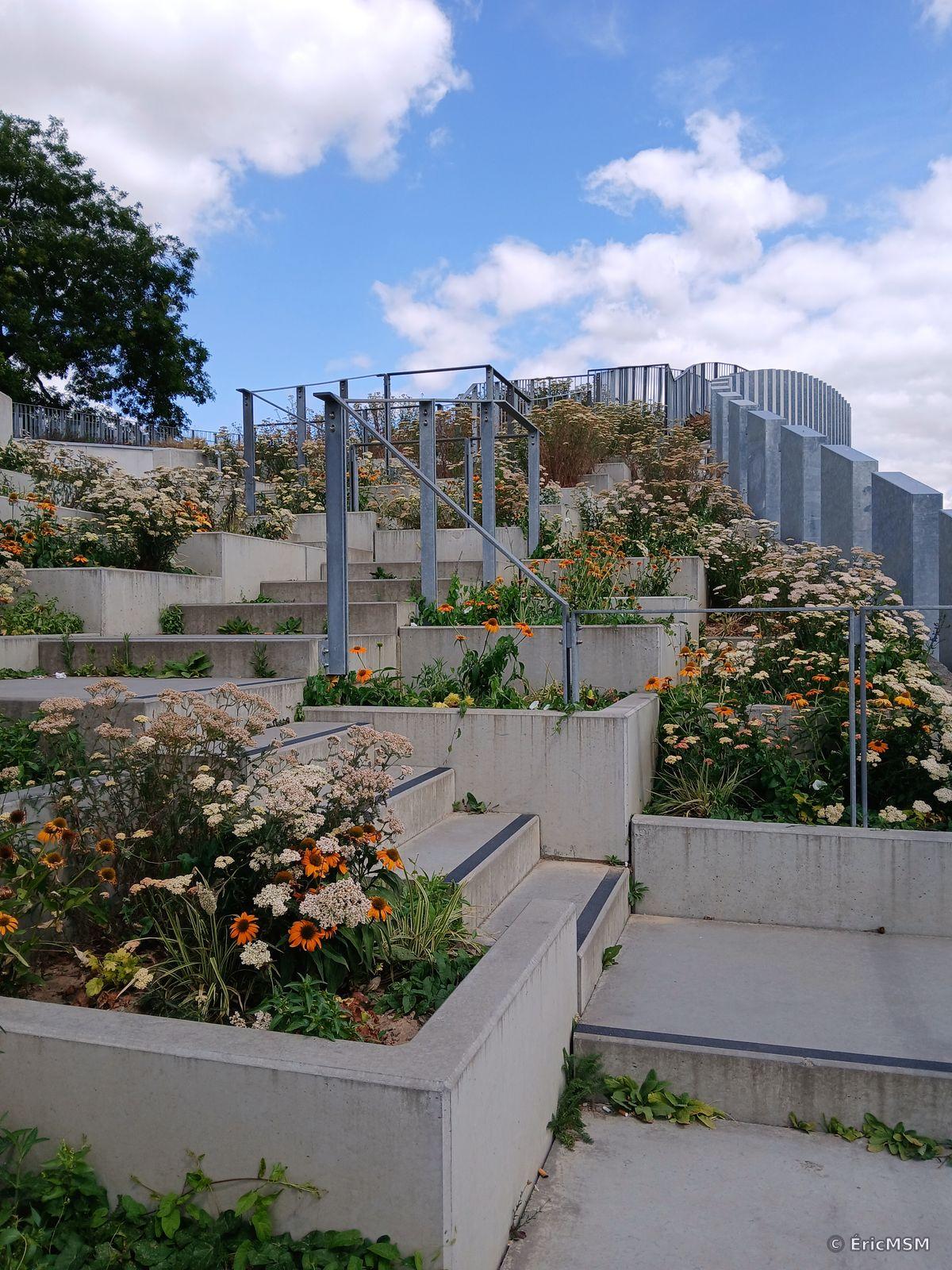 Un escalier en béton avec des bacs de fleurs sauvages.

A concrete staircase with containers of wildflowers.