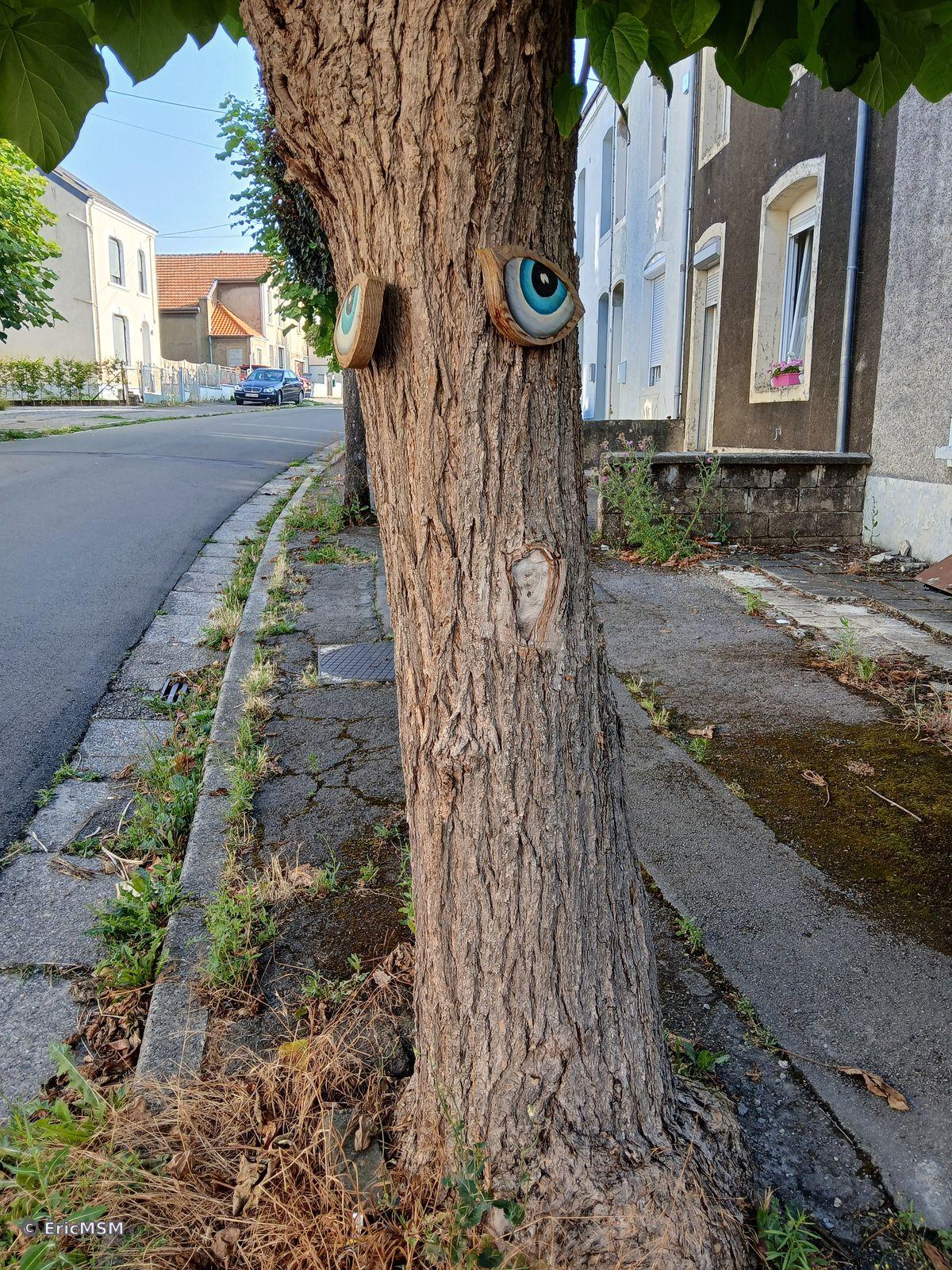Un arbre le long d'une rue résidentielle où l'on a apposé de grands yeux bleus.

A tree along a residential street where large blue eyes have been placed.