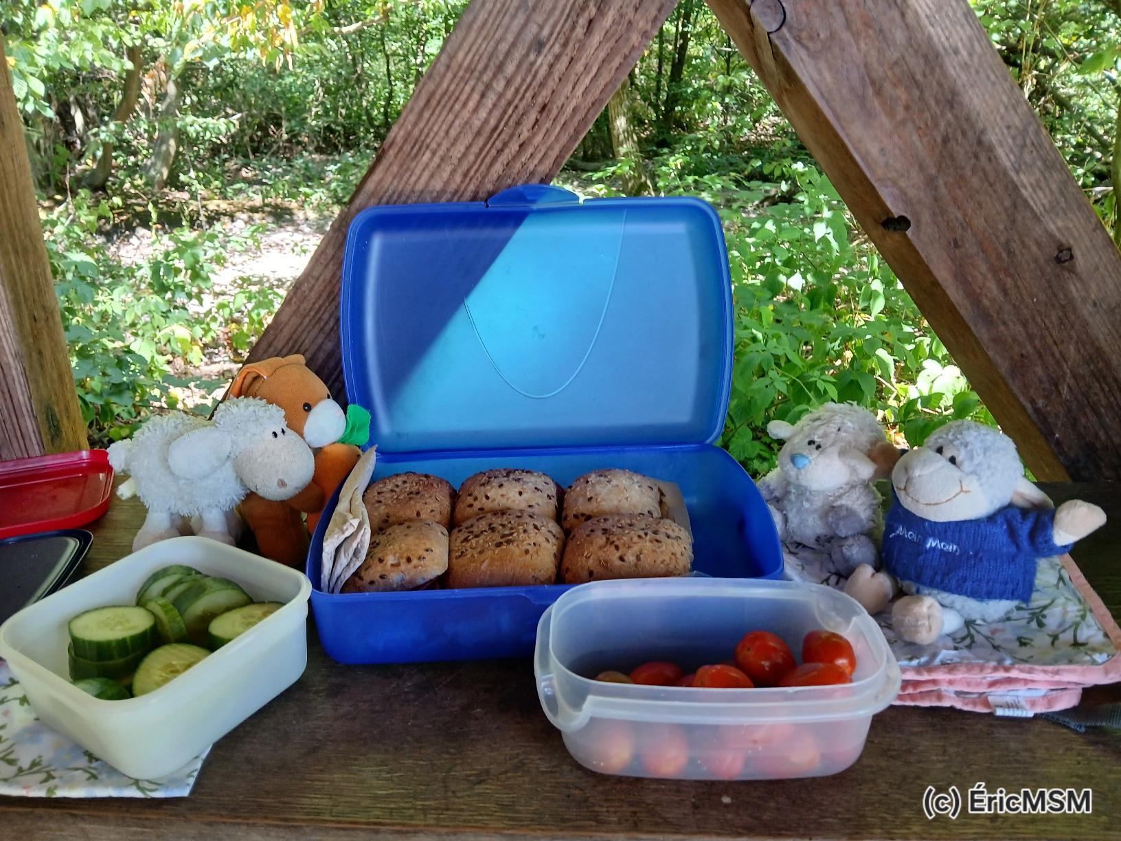 Quatre peluches entourent une boîte à tartine et deux contenants avec des tomates et du concombre.