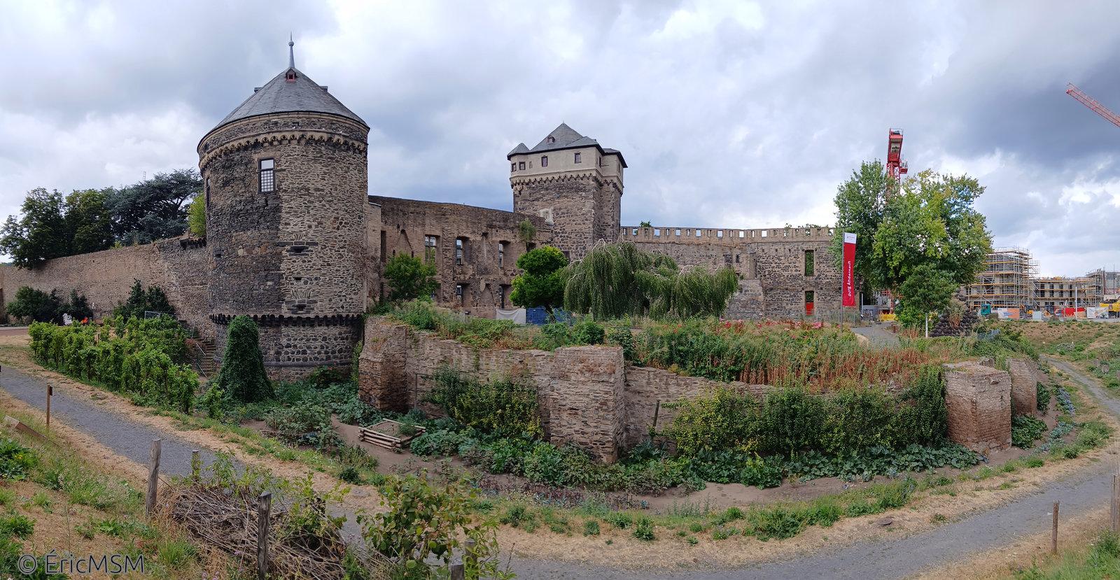 Le château d'Andernach et dans le fond du ravin, des espaces cultivés et de préservation de la nature et de la bio-diversité.

Andernach Castle and at the bottom of the ravine, cultivated areas and preservation of nature and biodiversity.