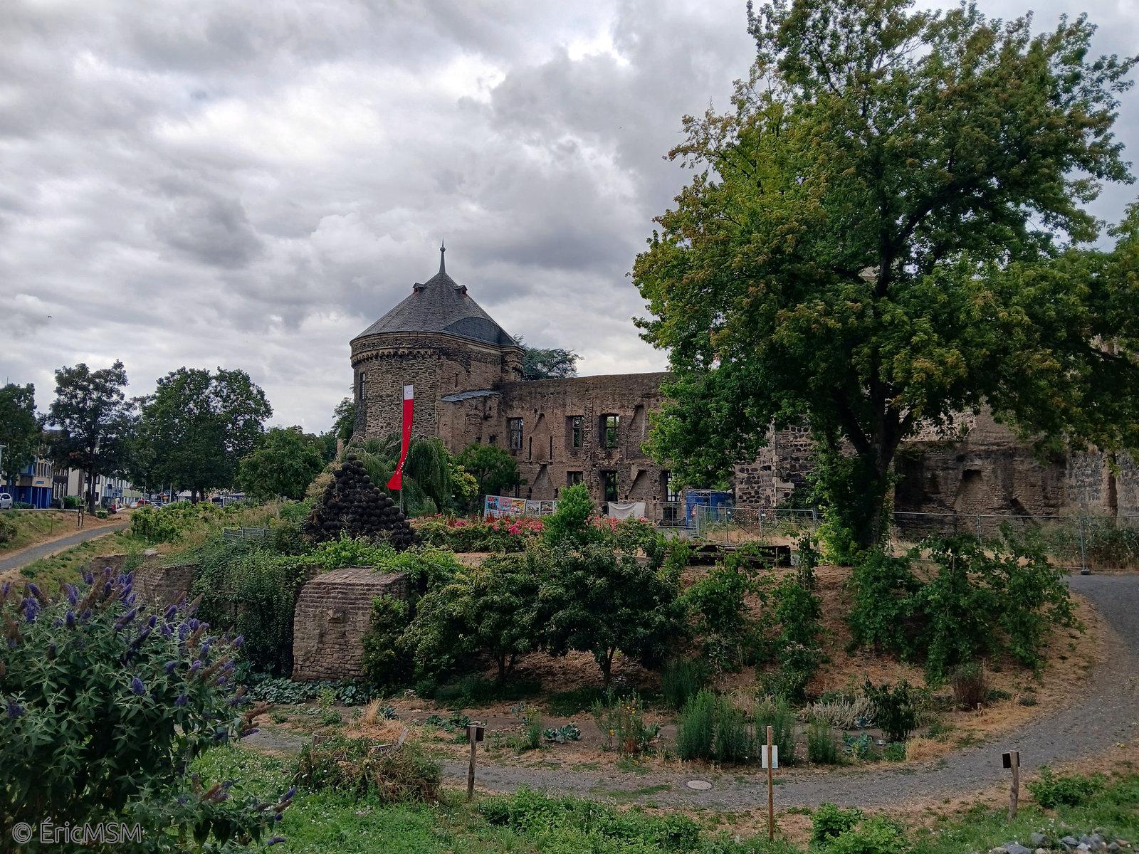 Le château d'Andernach et dans le fond du ravin, des espaces cultivés et de préservation de la nature et de la bio-diversité.

Andernach Castle and at the bottom of the ravine, cultivated areas and preservation of nature and biodiversity.