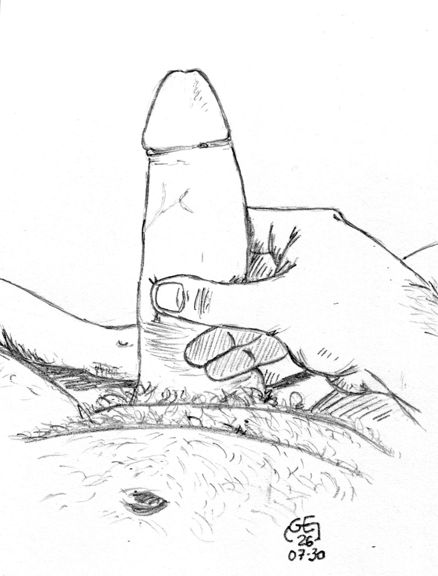 Un sexe érigé tenu par la main.

An erect penis held by the hand.
