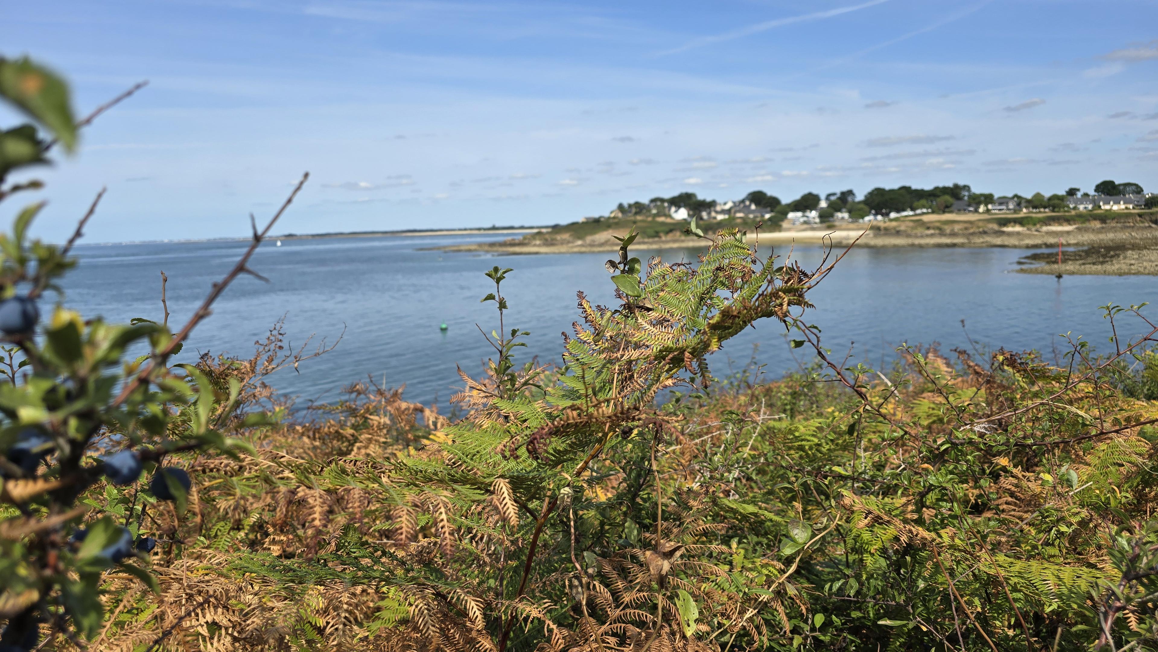 Vue sur le sud vers Arzon, dans le Morbihan.