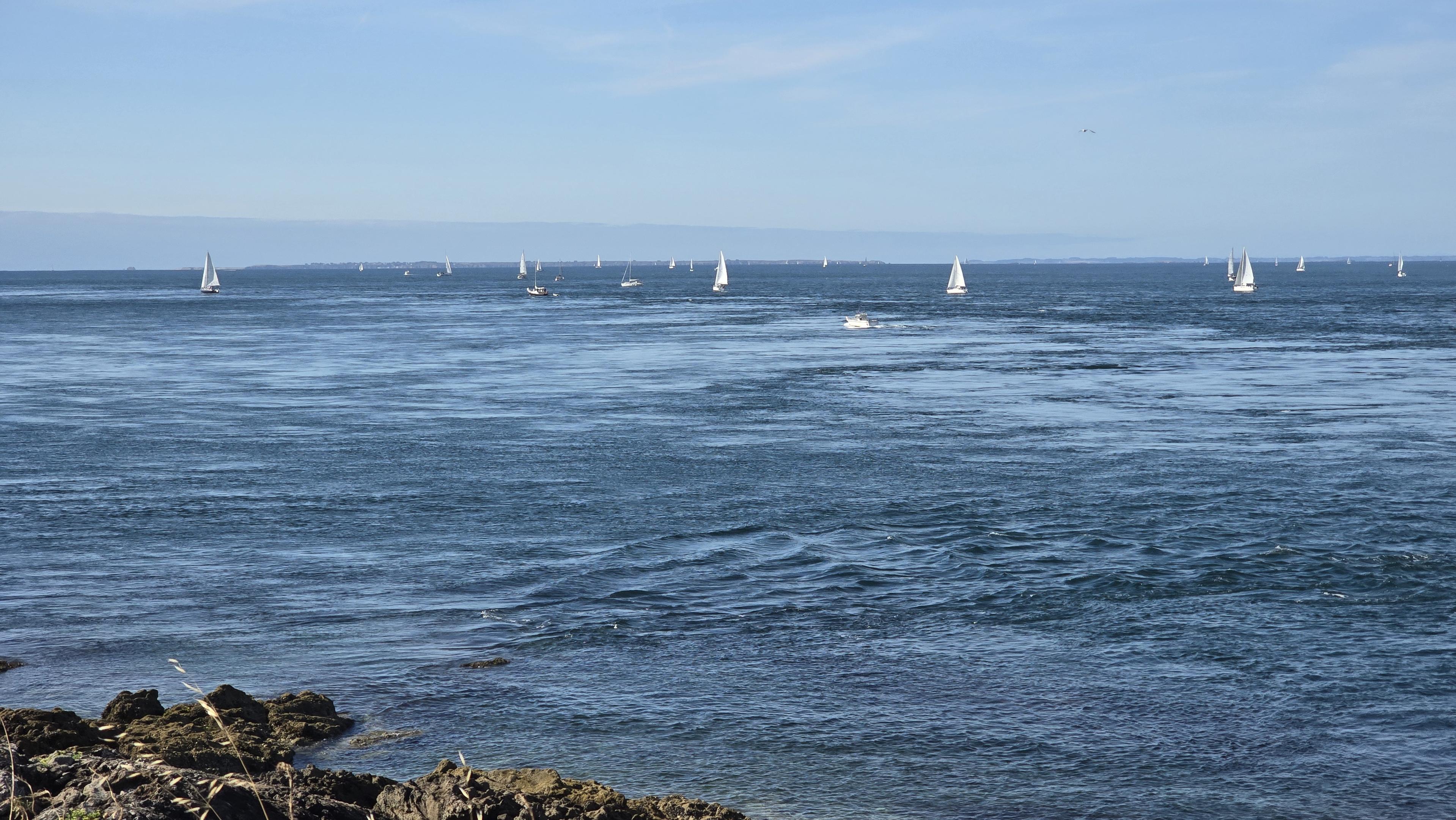 Voiliers sur l'océan, en regardant vers le sud, on distingue Belle-Île au loin.