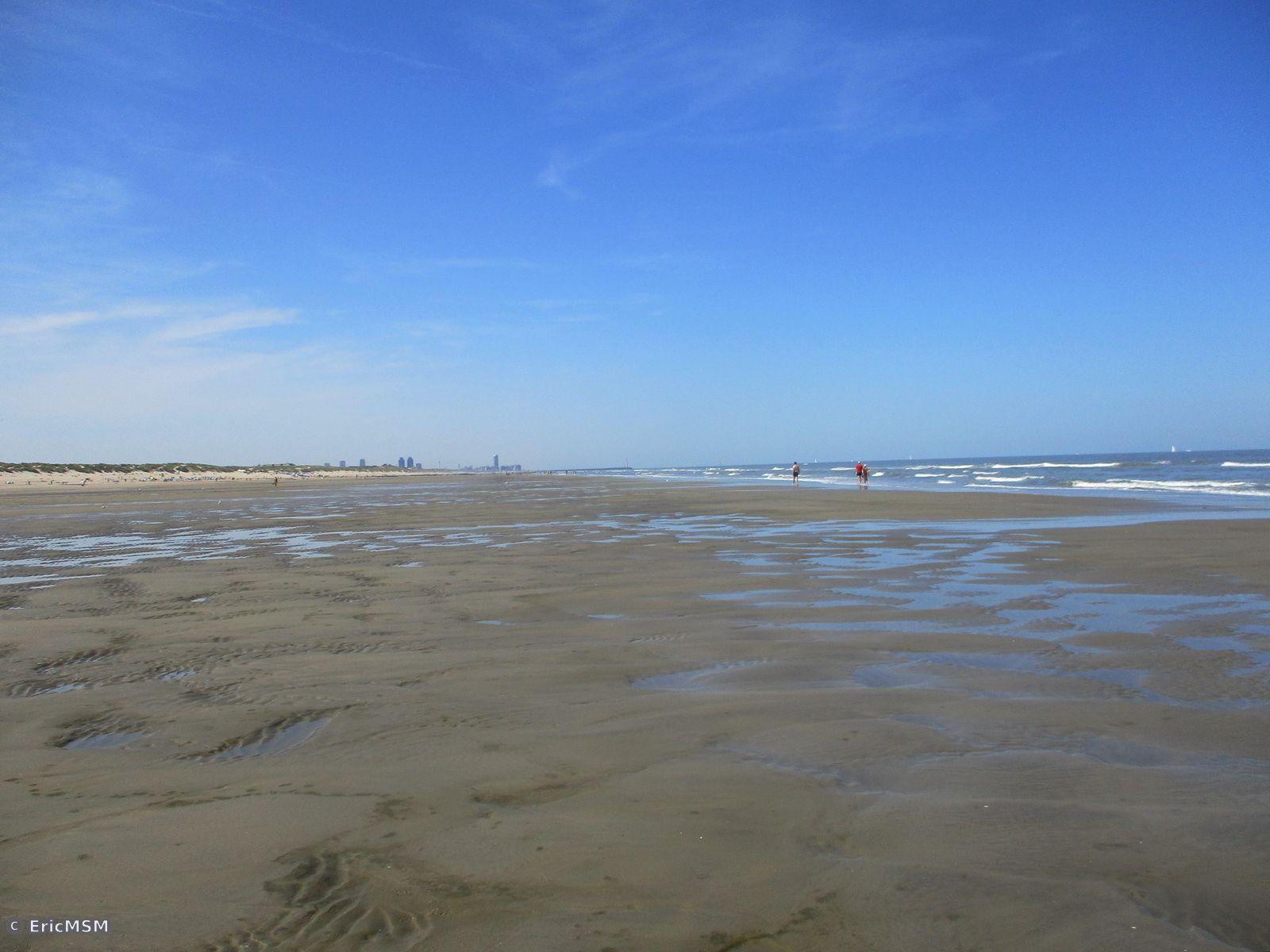 La plage de Bredene en regardant en direction d'Oostende dont on voit les immeubles dans le fond ainsi que la jetée.

Bredene beach looking towards Ostend where you can see the buildings in the background as well as the pier.